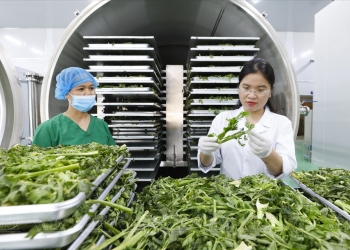 Đủ điều kiện ATTP
