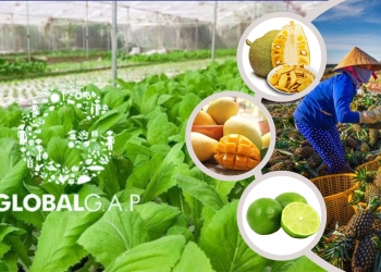 Tiêu chuẩn GlobalGAP