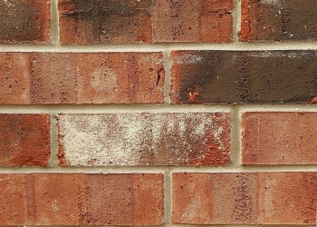 Ưu nhược điểm của các loại gạch xây nhà phổ biến nhất