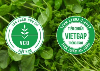 Tập huấn kiến thức VietGAP, Hữu cơ